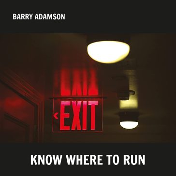 Know where to run (vinyl silver) - Barry Adamson