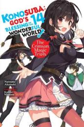 Konosuba: God s Blessing on This Wonderful World!, Vol. 14 light novel
