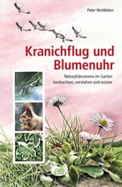 Kranichflug und Blumenuhr