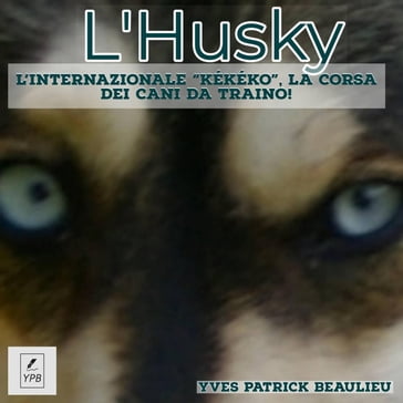 L'Husky - Yves Patrick Beaulieu
