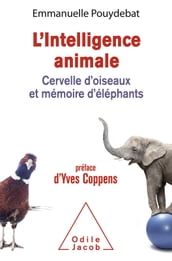 L  Intelligence animale