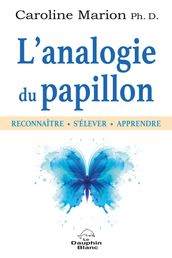 L analogie du papillon