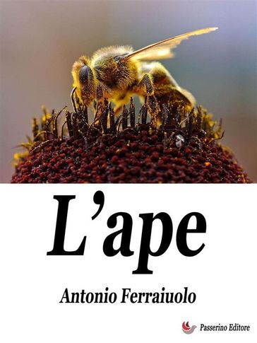 L'ape - Antonio Ferraiuolo