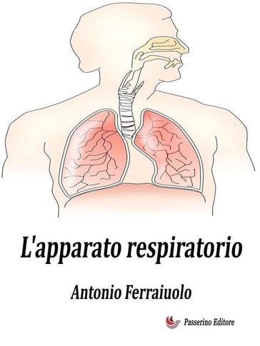 L'apparato respiratorio - Antonio Ferraiuolo