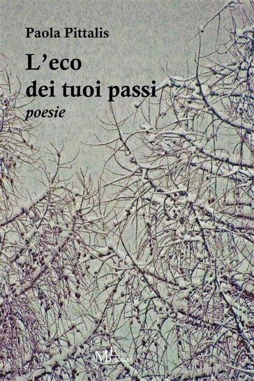 L'eco dei tuoi passi - Paola Pittalis