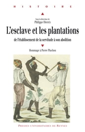 L esclave et les plantations