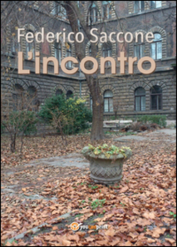 L'incontro - Federico Saccone