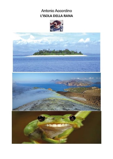 L'isola della rana - Accordino Antonio
