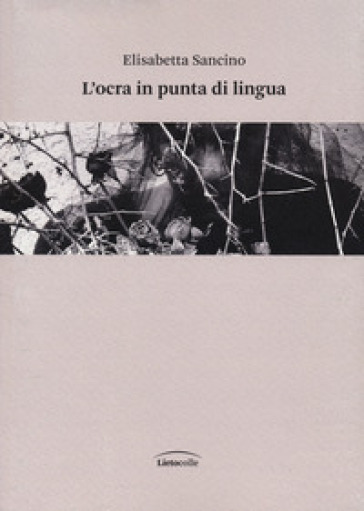 L'ocra in punta di lingua - Elisabetta Sancino