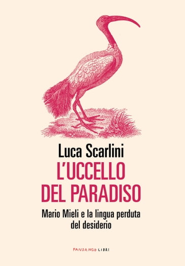 L'uccello del paradiso - Luca Scarlini