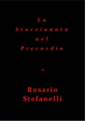 La Staccionata nel Precordio