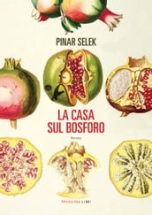 La casa sul bosforo