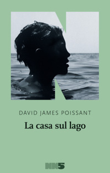 La casa sul lago - David James Poissant