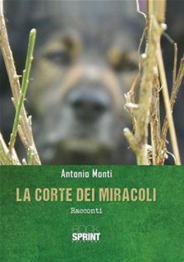 La corte dei miracoli - Antonio Monti