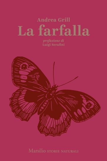 La farfalla - Andrea Grill - Luigi Serafini