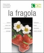 La fragola