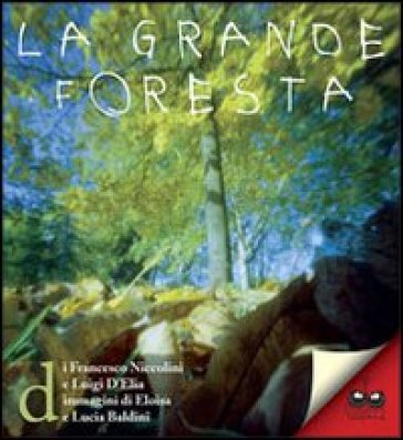 La grande foresta - Francesco Niccolini - Luigi D