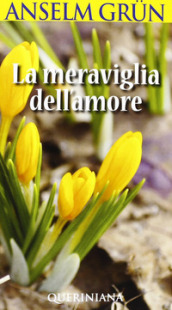 La meraviglia dell