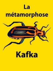 La métamorphose