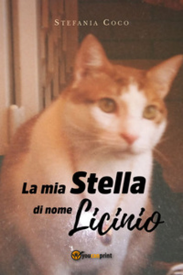 La mia stella di nome Licinio - Stefania Coco