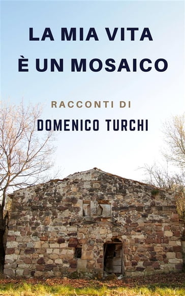 La mia vita è un mosaico - Domenico Turchi