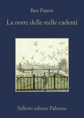 La notte delle stelle cadenti