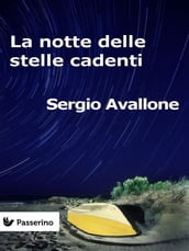 La notte delle stelle cadenti