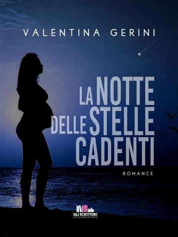 La notte delle stelle cadenti - Valentina Gerini