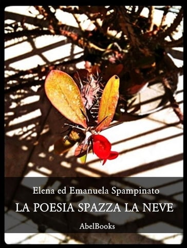 La poesia spazza la neve - Elena Spampinato - Emanuela Spampinato