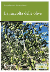 La raccolta delle olive