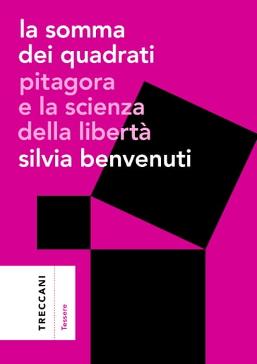 La somma dei quadrati - Silvia Benvenuti