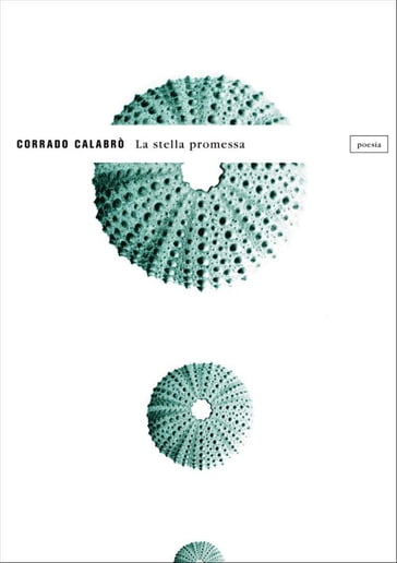 La stella promessa - Corrado Calabrò