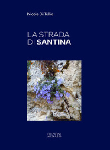 La strada di Santina - Nicola Di Tullio