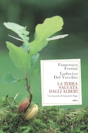 La terra salvata dagli alberi