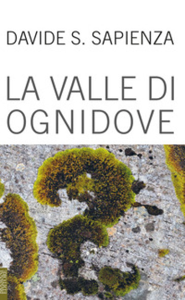 La valle di ognidove - Davide Sapienza