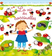 La vie des coccinelles