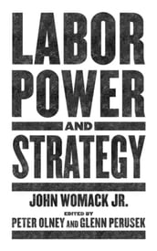 Labor Power And Strategy