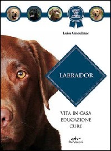 Labrador - Luisa Ginoulhiac