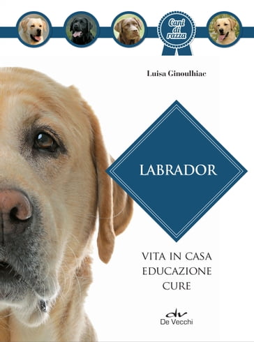 Labrador - Luisa Ginoulhiac