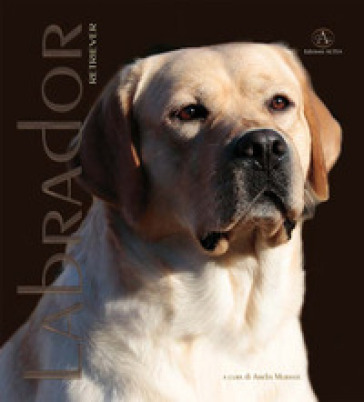 Labrador Retriver. Monografia fotografica. Ediz. illustrata - Amelia Murante