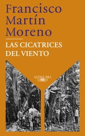 Las cicatrices del viento