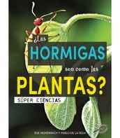 Las hormigas son como las plantas?