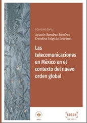 Las telecomunicaciones en México en el contexto del nuevo orden global