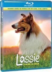 Lassie Torna A Casa