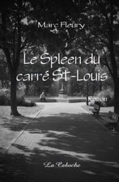 Le Spleen du carré St-Louis