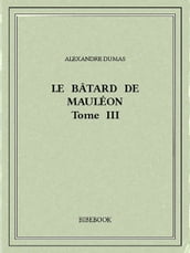 Le bâtard de Mauléon III