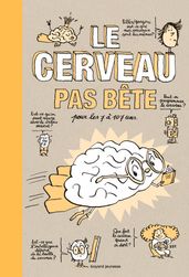 Le cerveau pas bête