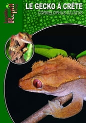 Le gecko à crête
