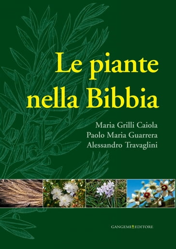 Le piante nella Bibbia - Alessandro Travaglini - Maria Grilli Caiola - Paolo Maria Guarrera