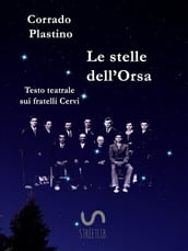 Le stelle dell Orsa